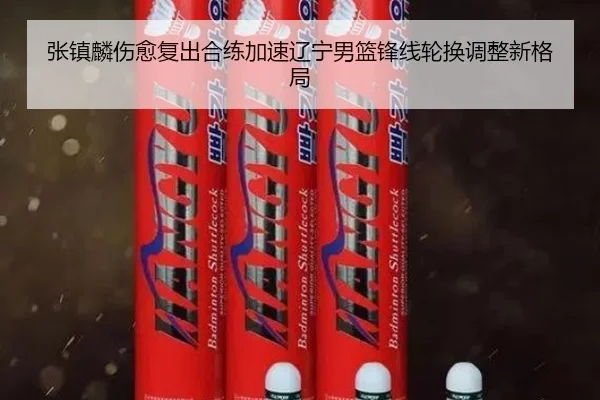 张镇麟伤愈复出合练加速辽宁男篮锋线轮换调整新格局